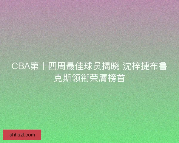 CBA第十四周最佳球员揭晓 沈梓捷布鲁克斯领衔荣膺榜首